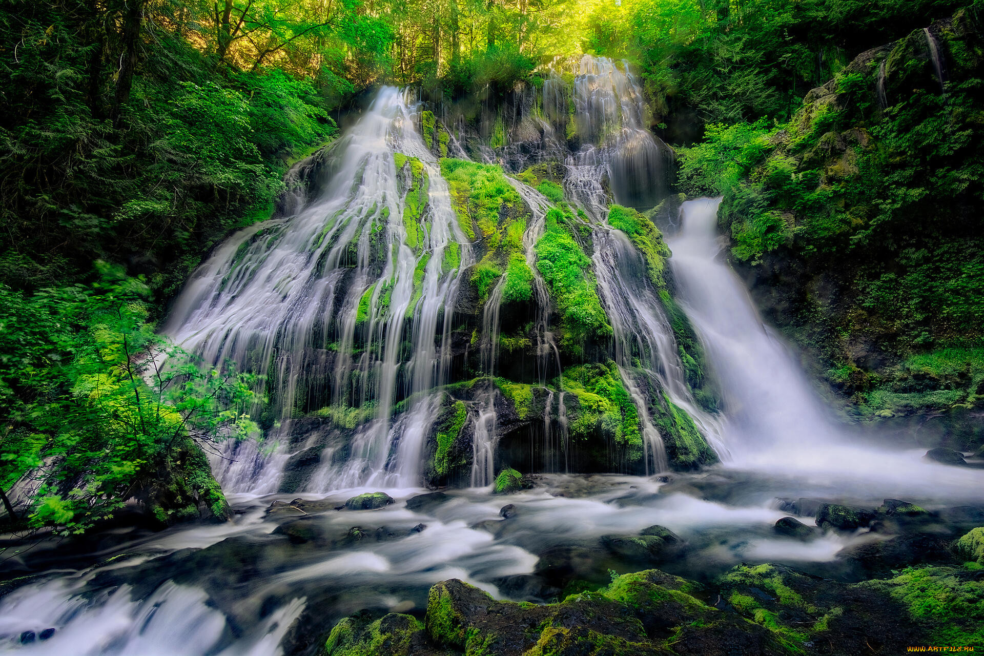 panther creek falls, gifford pinchot national forest, , , panther, creek, falls, gifford, pinchot, national, forest